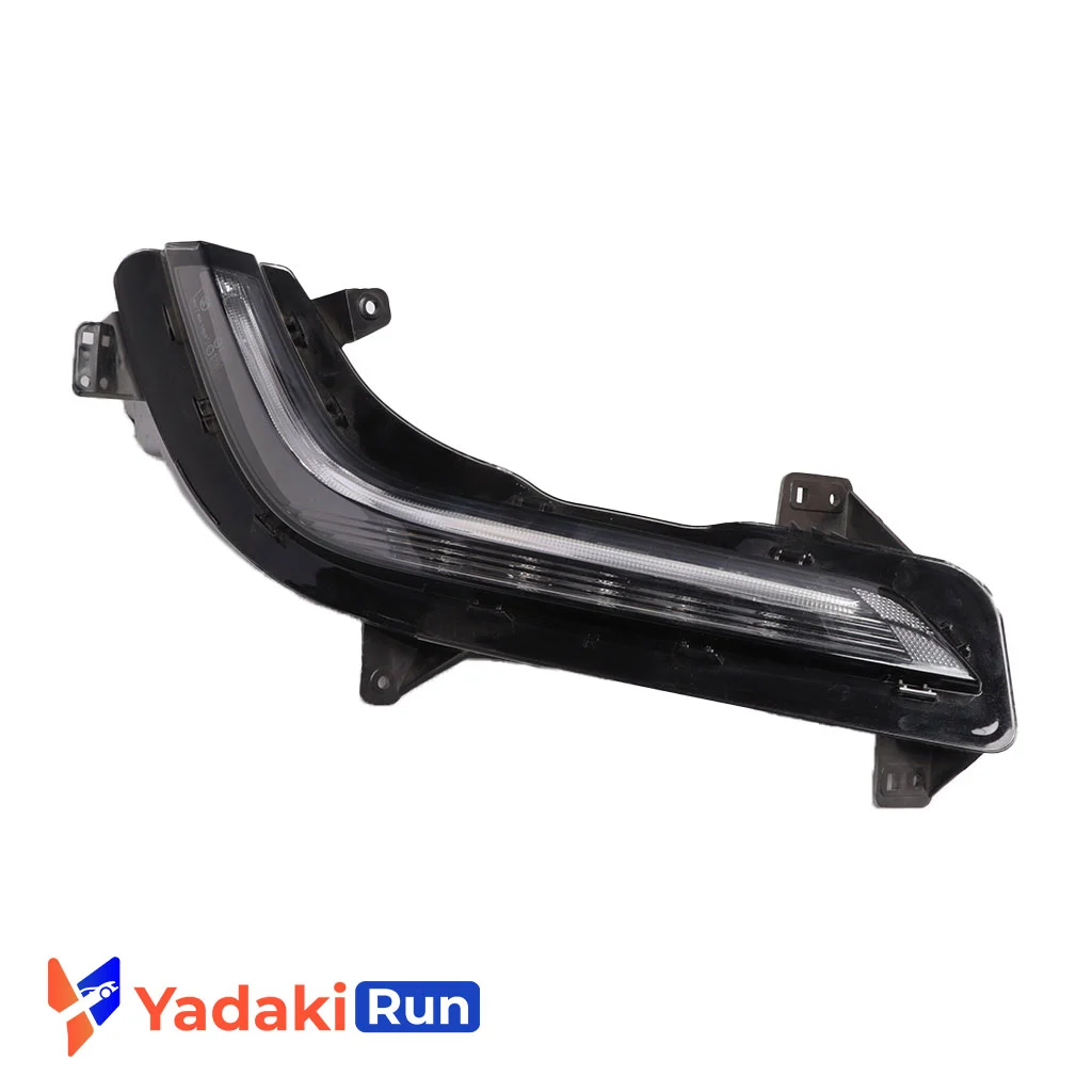 دی لایت راست کولئوس