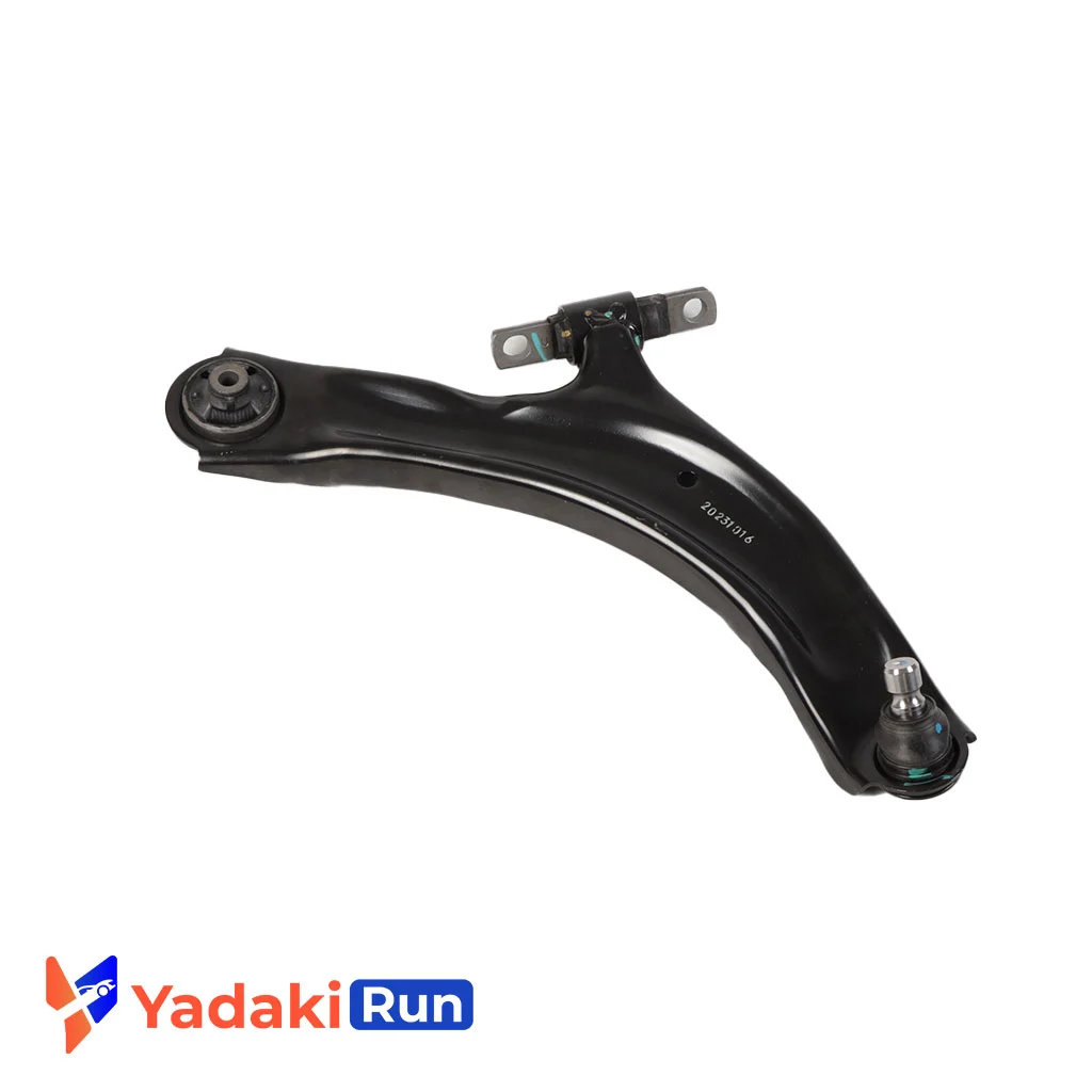 طبق چپ و راست کولئوس قدیم یک دست اصلی